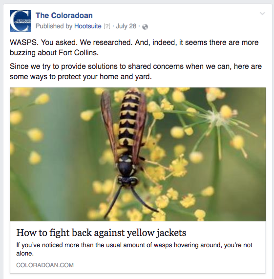 CO yellow jackets