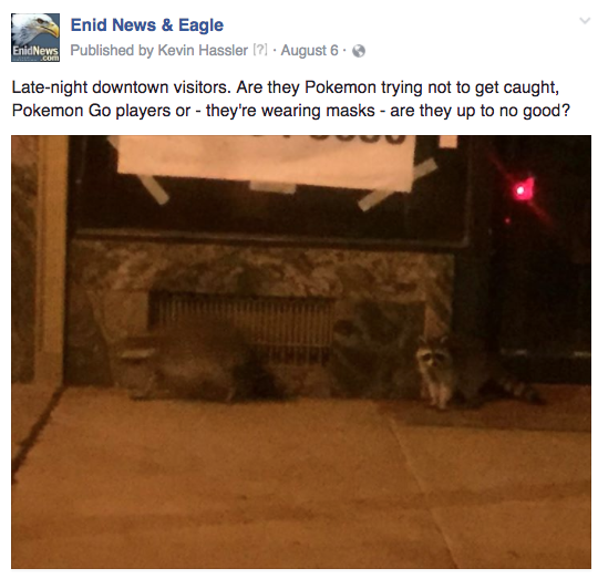 Enid downtown critters