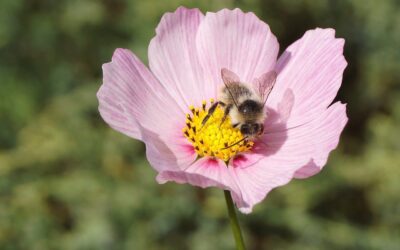 Advice from journalists: Why we’ve invested in listening to people who don’t trust us